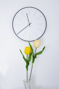 Daylight Saving Time 