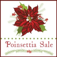 RE Poinsettia Sale