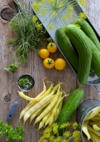 Talk & Demo: Plant-Based in Practice 