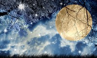 Winter Solstice Celebration