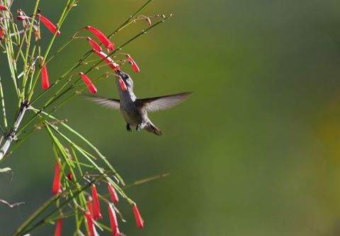 Belonging to the Now