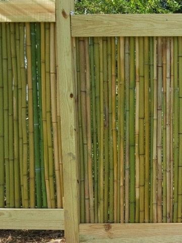 bamboo_fence3